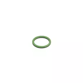 O ringe 20.63x2.62mm viton