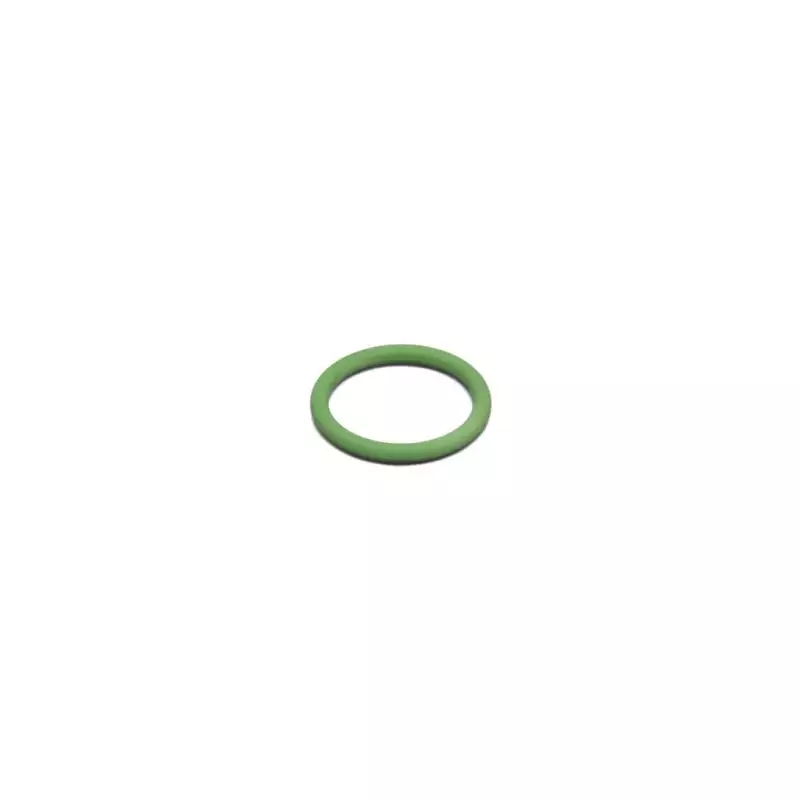 O ringe 20.63x2.62mm viton