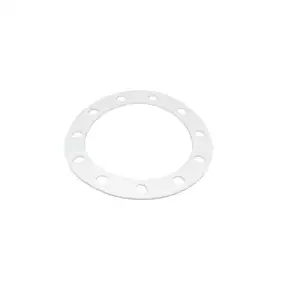 Astoria Wega kessel dichtung 191x139x3mm PTFE