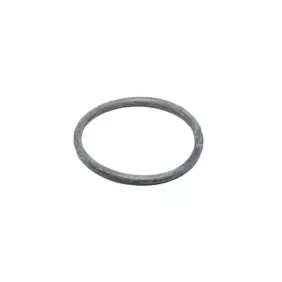 Gaggia O ringe 47,63x3,53mm